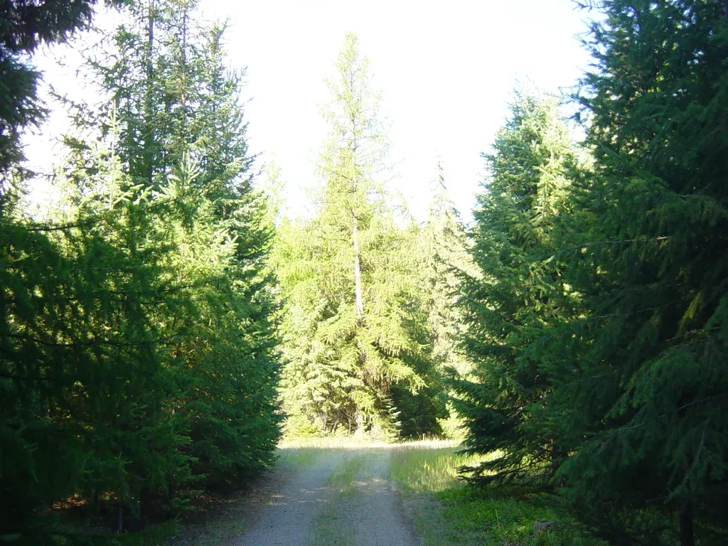 Nhn Acm Road S Libby MT 59923