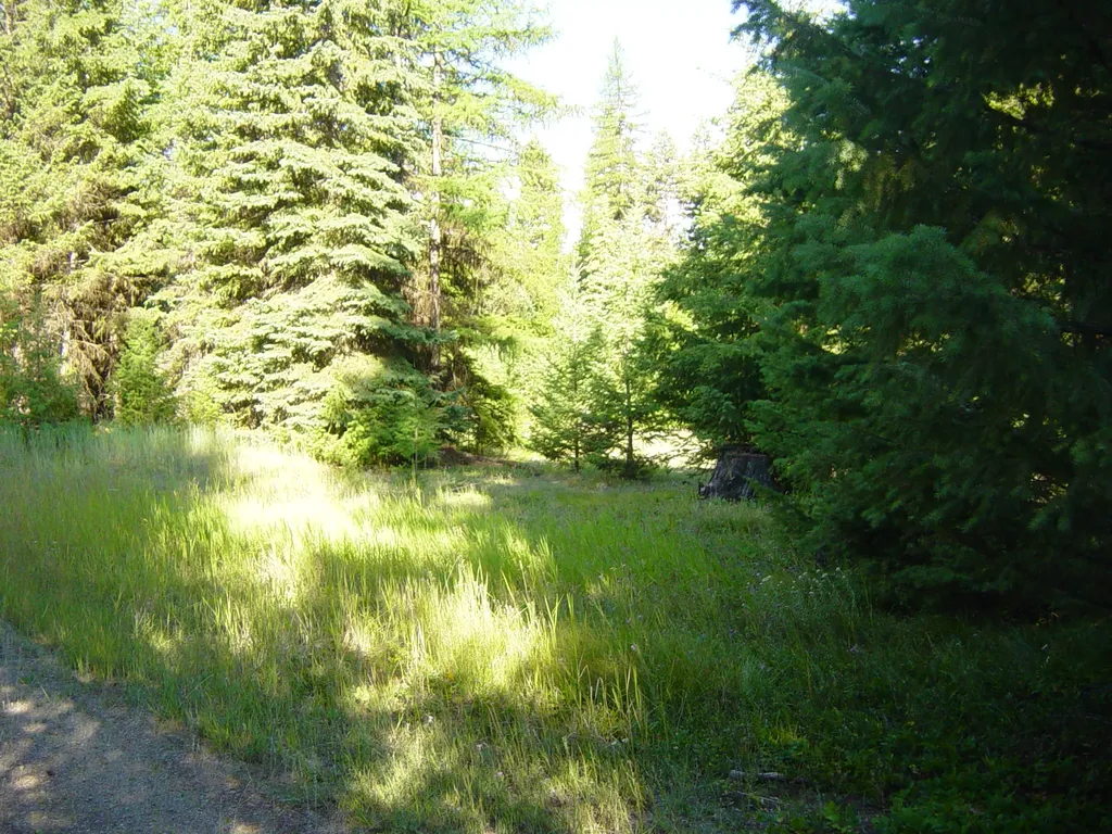Nhn Acm Road S Libby MT 59923