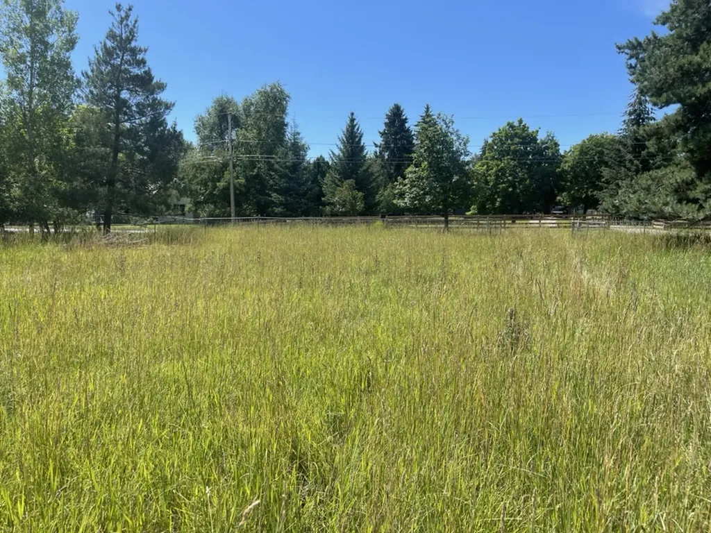 Nhn 4th Street Whitefish MT 59937