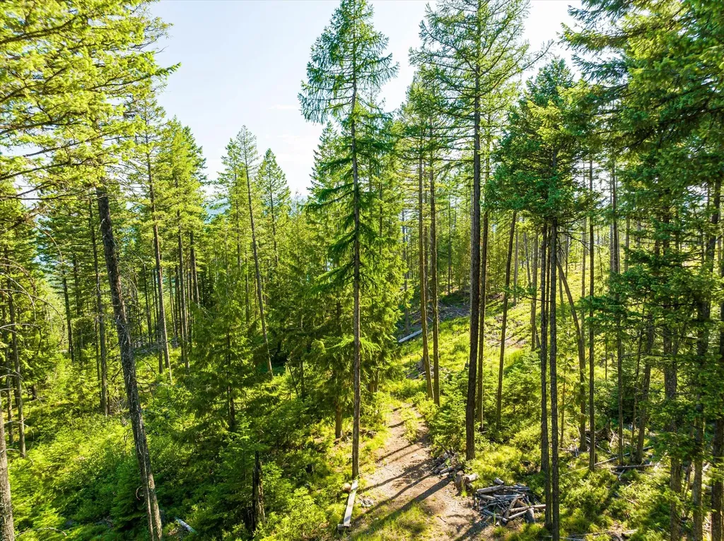Nhn Big Mountain Road Whitefish MT 59937