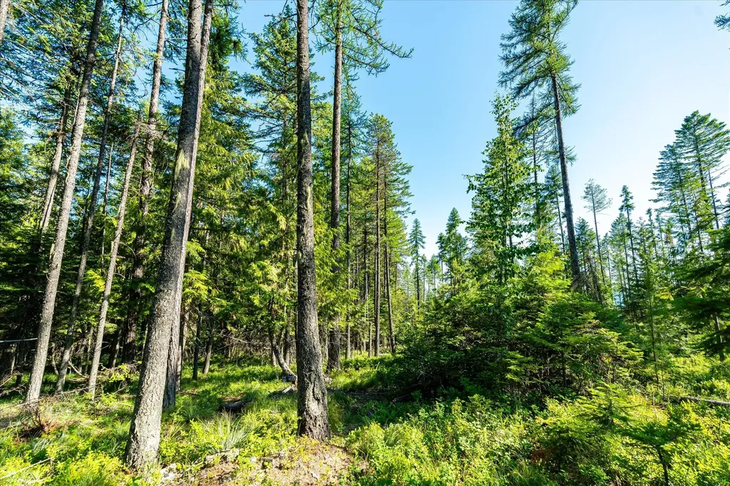 Nhn Big Mountain Road Whitefish MT 59937