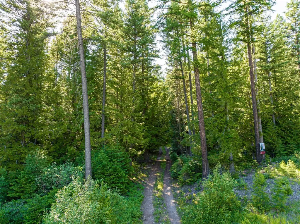 Nhn Big Mountain Road Whitefish MT 59937