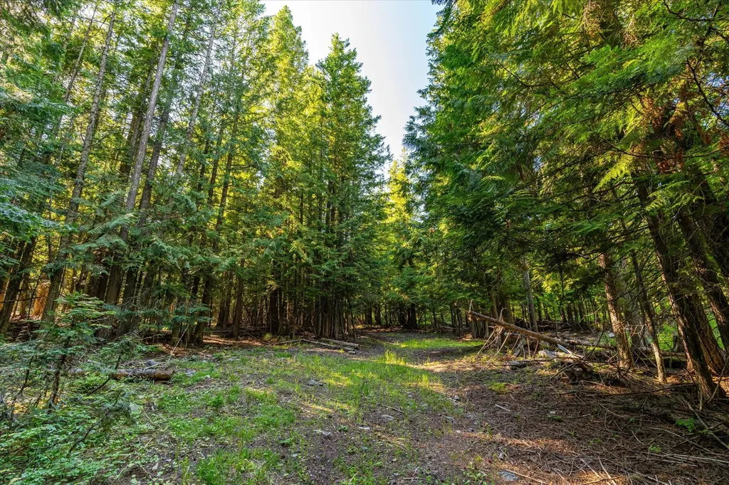 Nhn Big Mountain Road Whitefish MT 59937