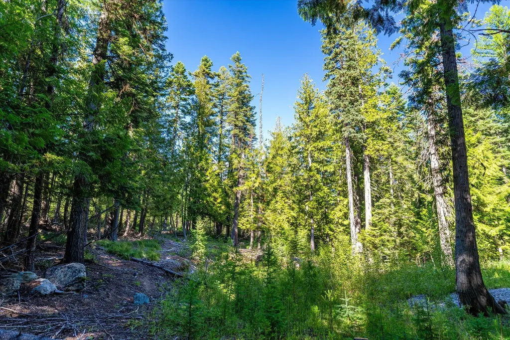 Nhn Big Mountain Road Whitefish MT 59937