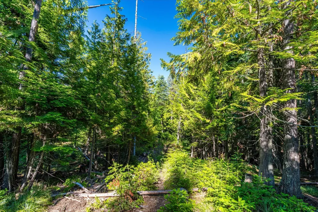 Nhn Big Mountain Road Whitefish MT 59937