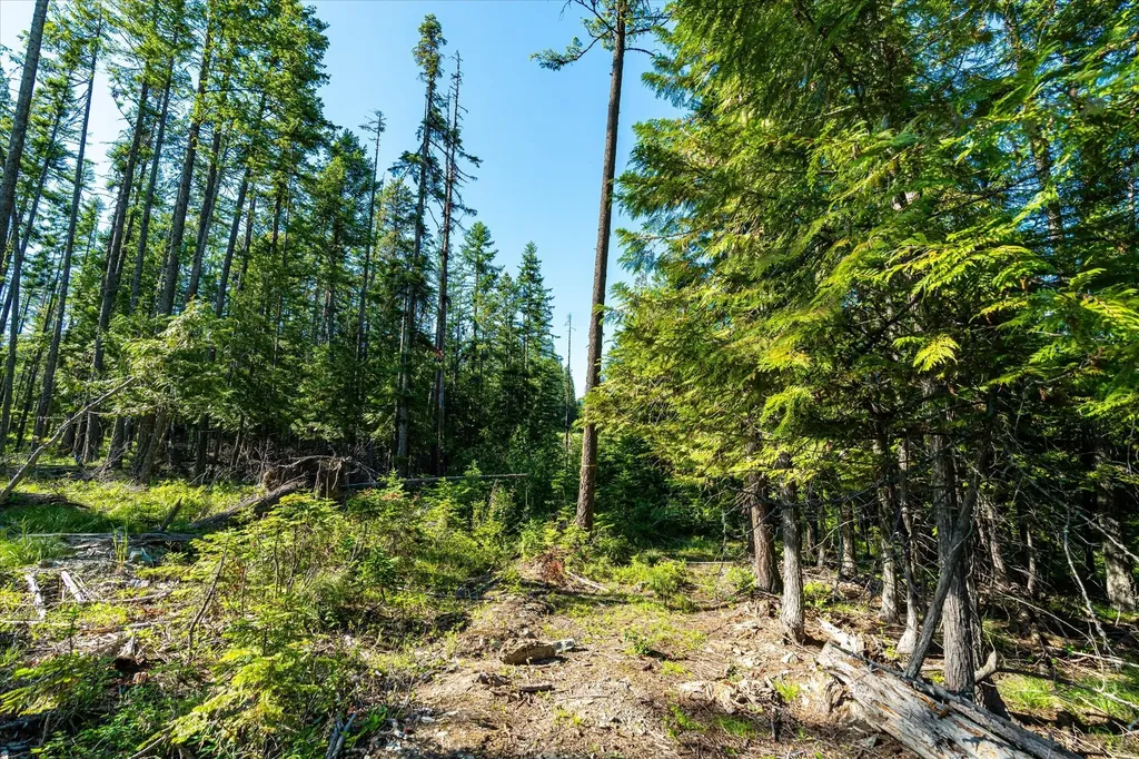 Nhn Big Mountain Road Whitefish MT 59937
