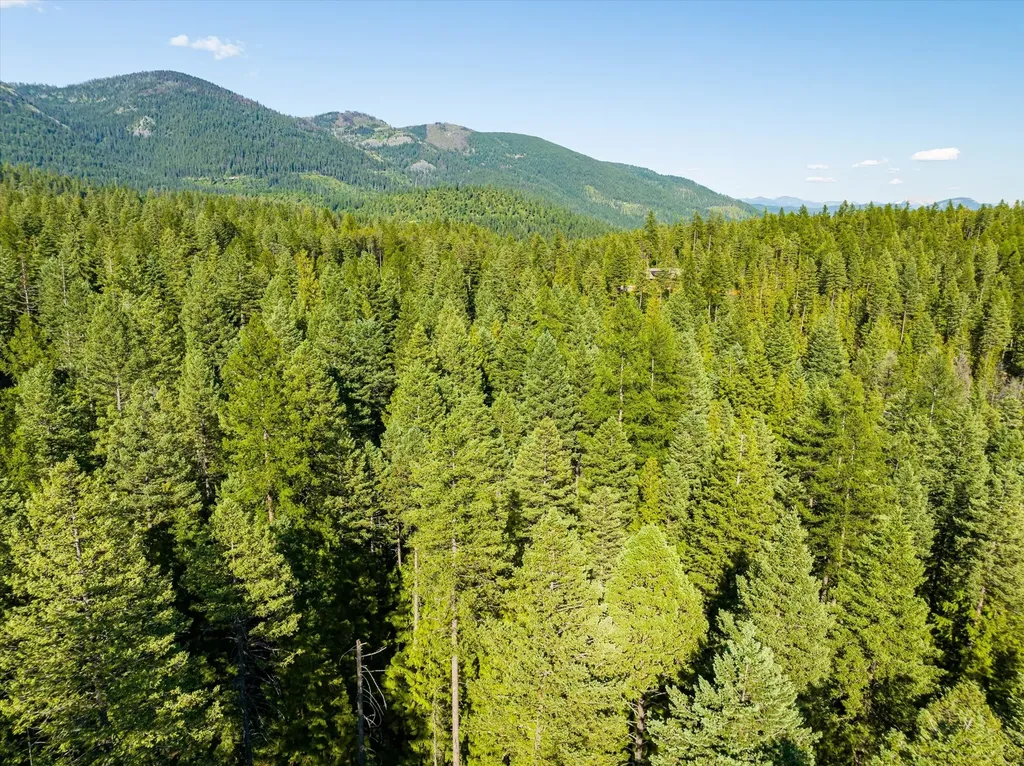 Nhn Big Mountain Road Whitefish MT 59937