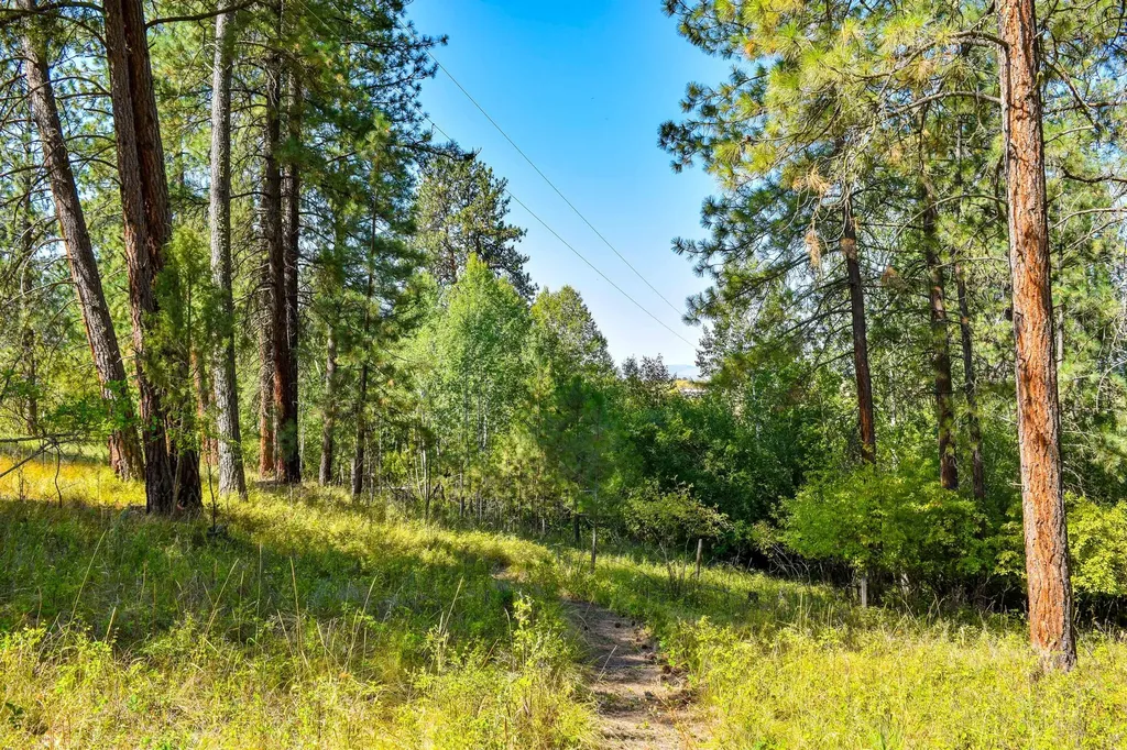 53315 Timberline Way Charlo MT 59824
