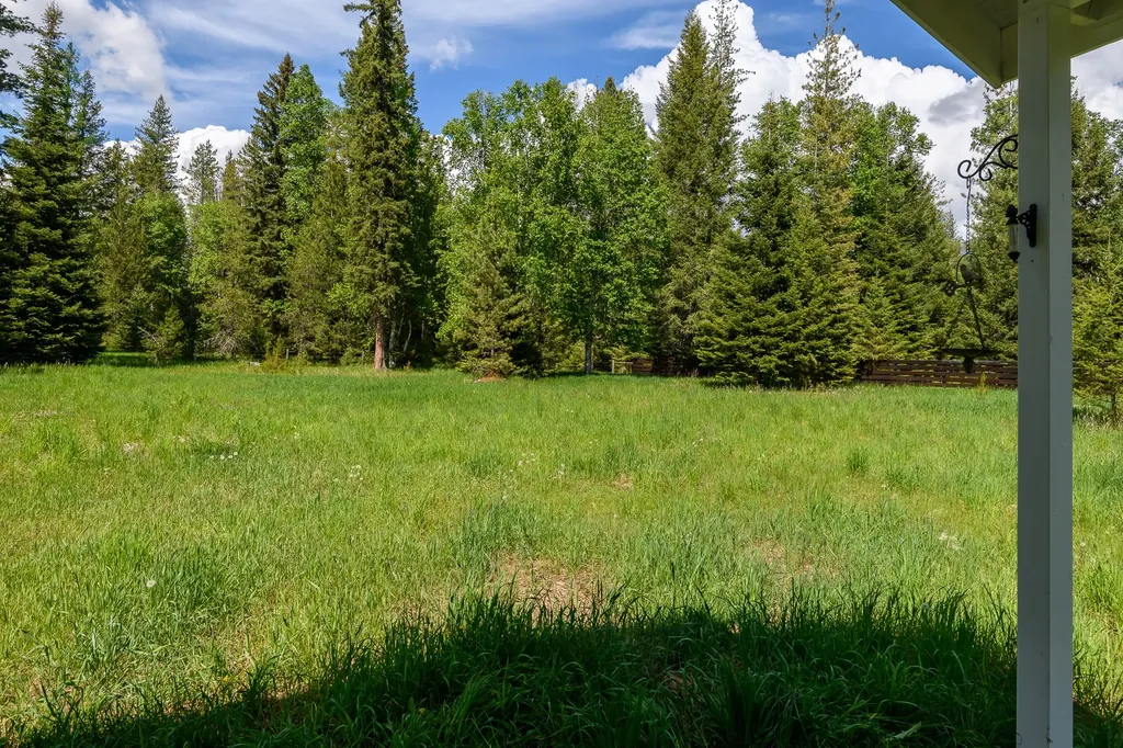 541 Alpine Drive Bigfork MT 59911