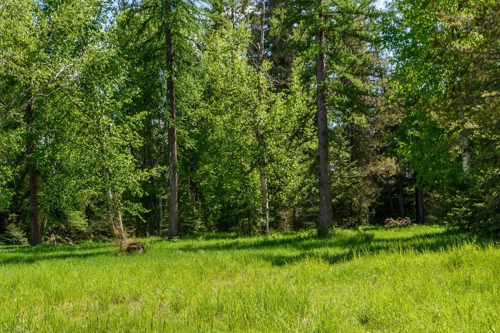 541 Alpine Drive Bigfork MT 59911