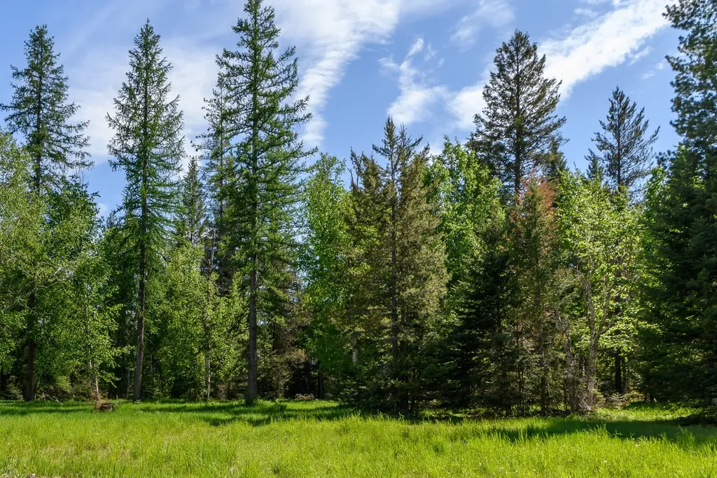 541 Alpine Drive Bigfork MT 59911