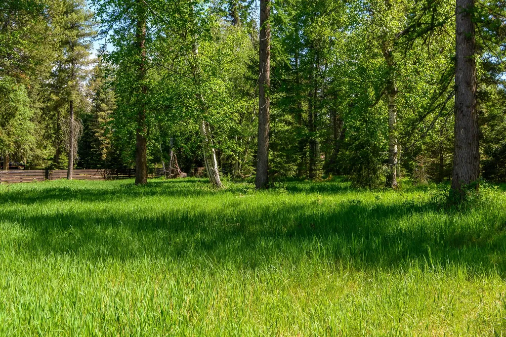 541 Alpine Drive Bigfork MT 59911