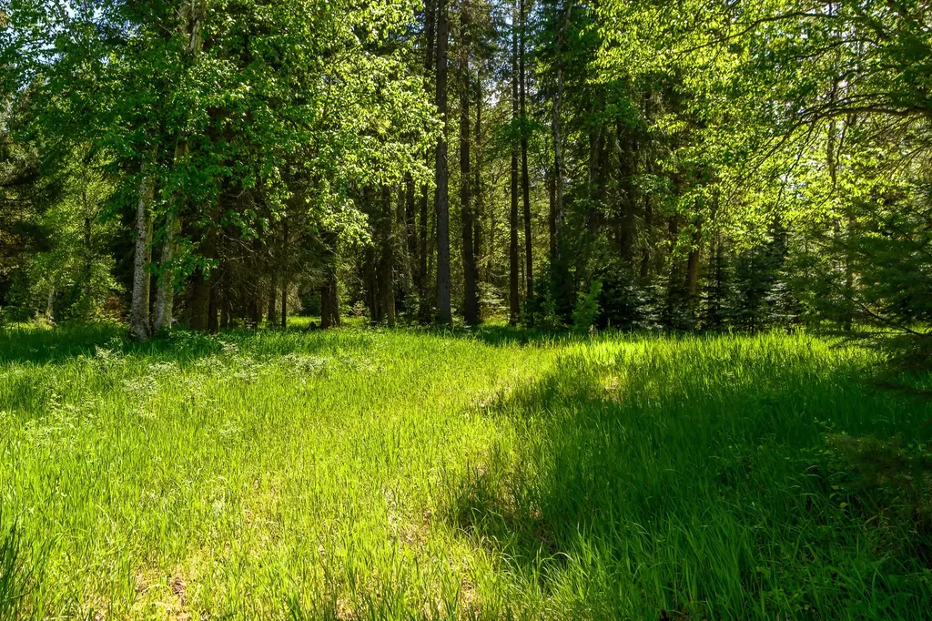 541 Alpine Drive Bigfork MT 59911