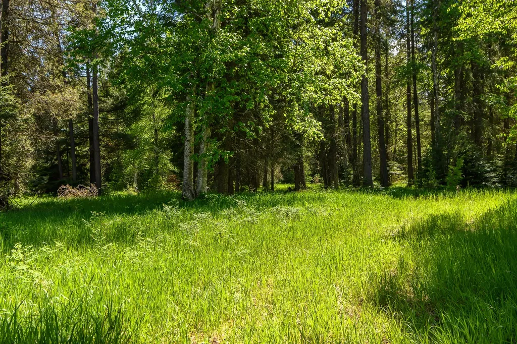 541 Alpine Drive Bigfork MT 59911