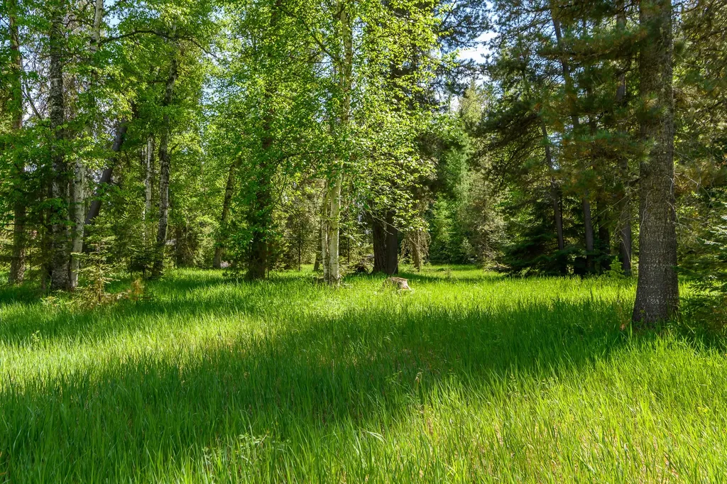 541 Alpine Drive Bigfork MT 59911