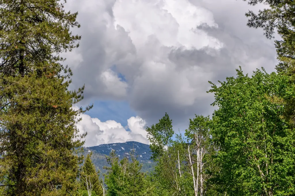 541 Alpine Drive Bigfork MT 59911