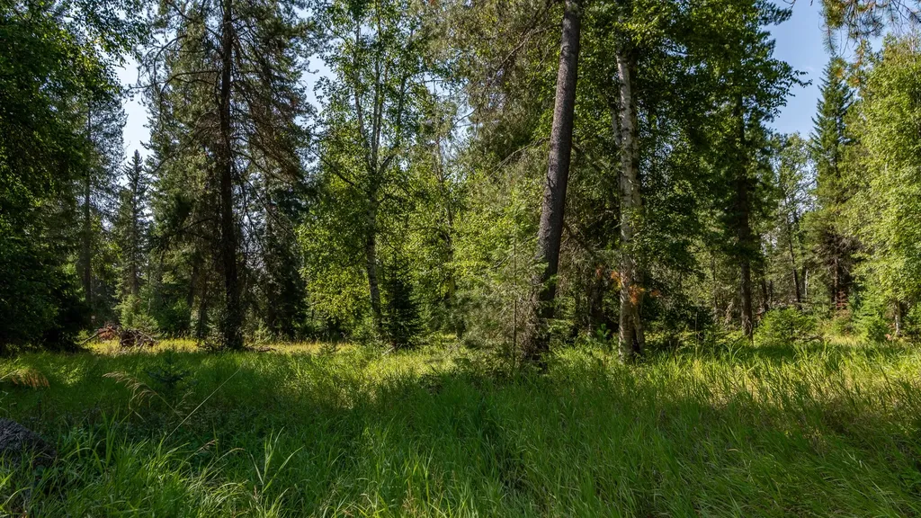541 Alpine Drive Bigfork MT 59911