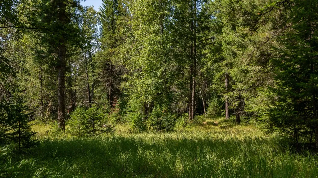 541 Alpine Drive Bigfork MT 59911