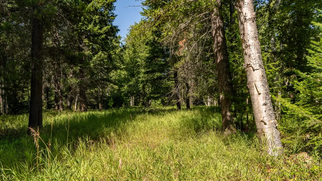 541 Alpine Drive Bigfork MT 59911