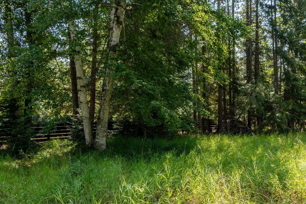 541 Alpine Drive Bigfork MT 59911