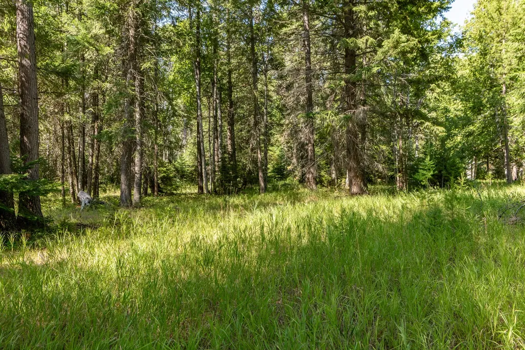 541 Alpine Drive Bigfork MT 59911