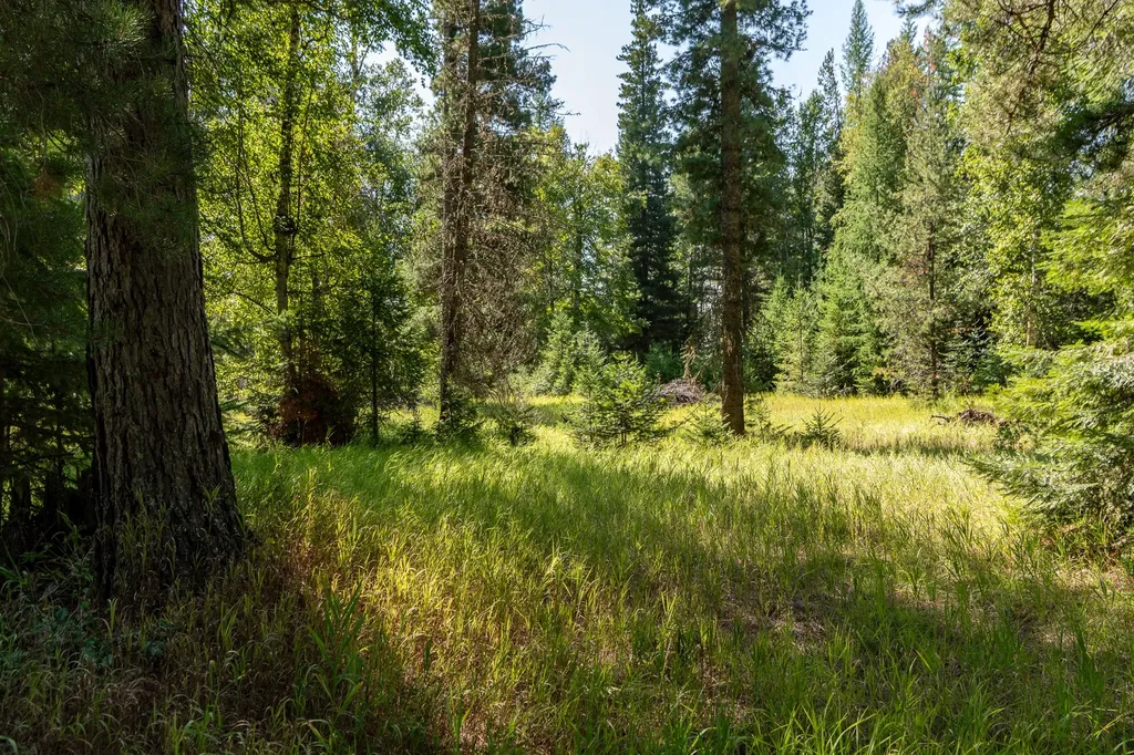 541 Alpine Drive Bigfork MT 59911
