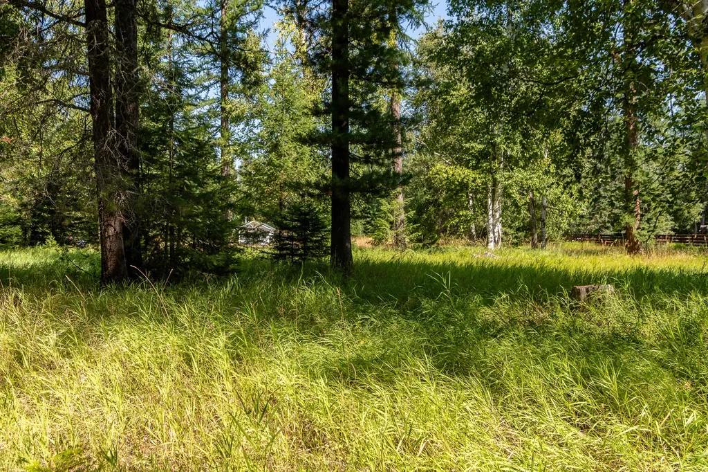 541 Alpine Drive Bigfork MT 59911