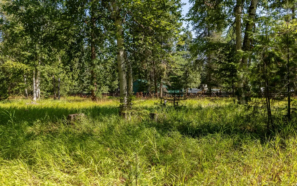 541 Alpine Drive Bigfork MT 59911