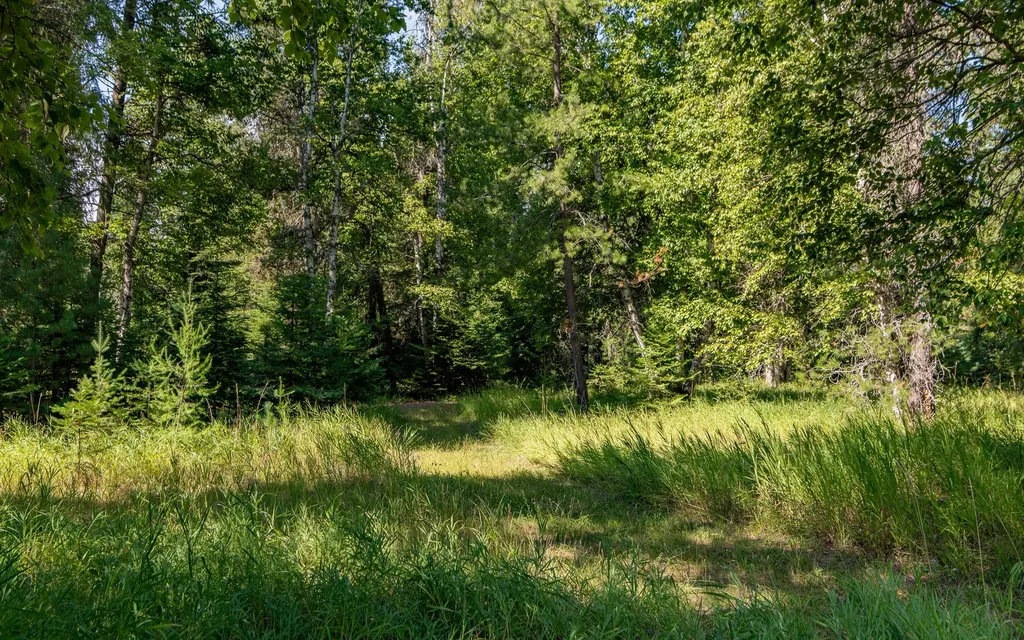 541 Alpine Drive Bigfork MT 59911