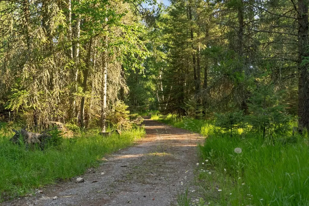 541 Alpine Drive Bigfork MT 59911