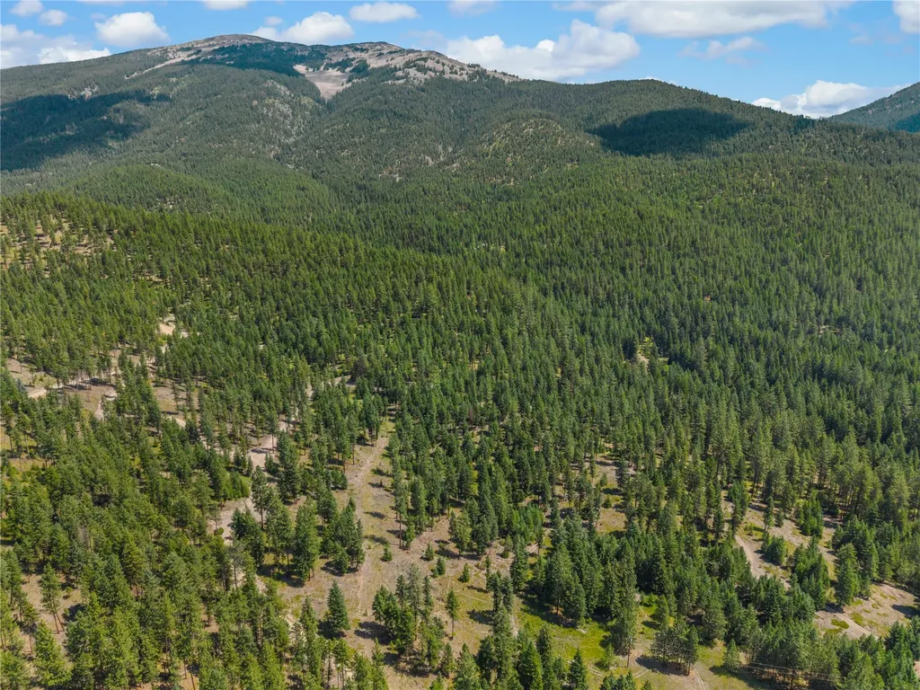 Nhn Lot 16a Corona Court Plains MT 59859