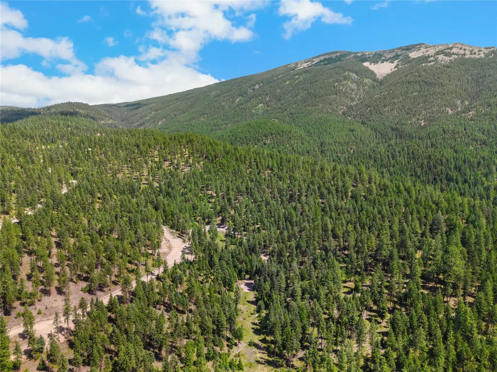 Nhn Lot 16b Corona Road Plains MT 59859
