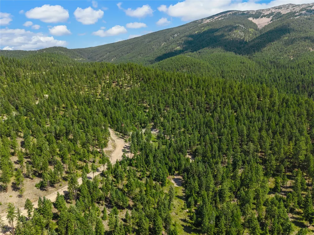Nhn Lot 16b Corona Road Plains MT 59859