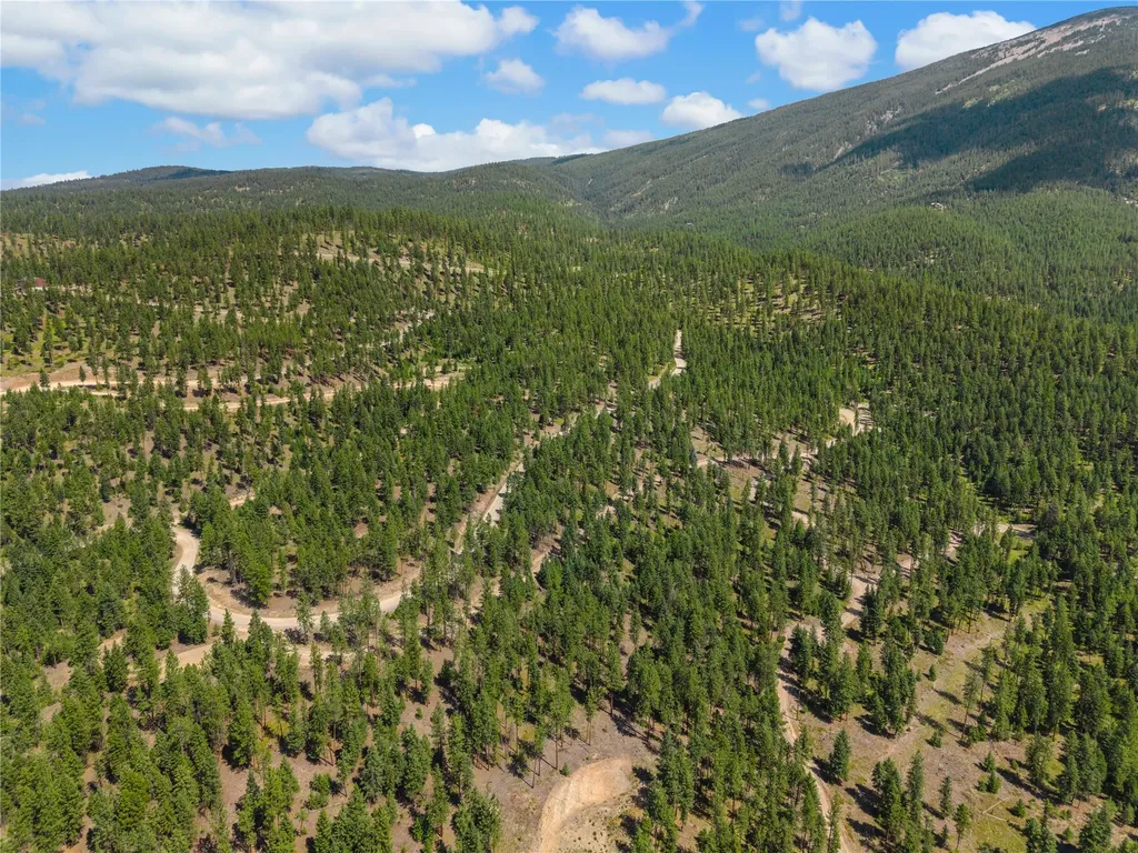 Nhn Lot 16b Corona Road Plains MT 59859