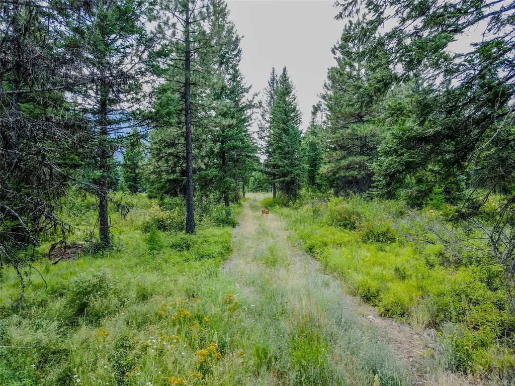 248 Abby Road Libby MT 59923