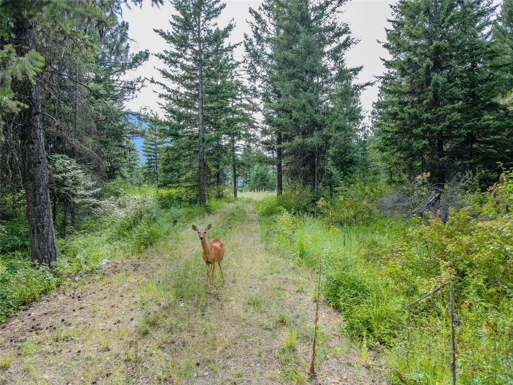 248 Abby Road Libby MT 59923