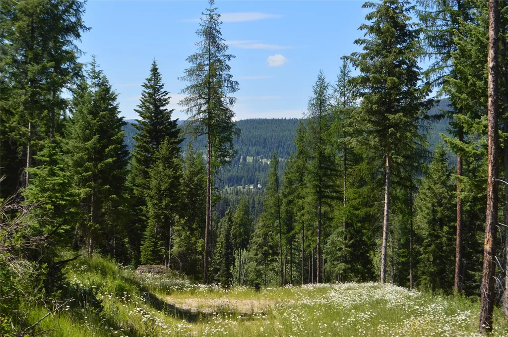 Nhn Logan Creek Road Whitefish MT 59937