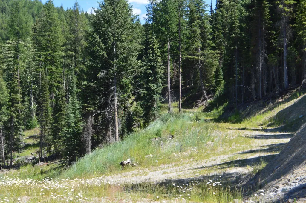 Nhn Logan Creek Road Whitefish MT 59937