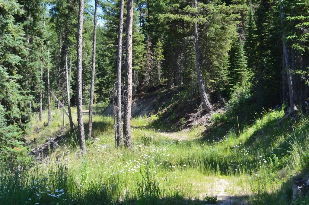 Nhn Logan Creek Road Whitefish MT 59937
