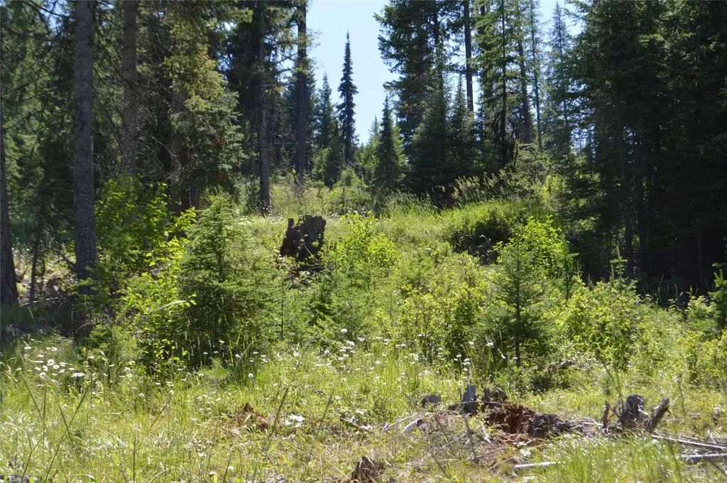 Nhn Logan Creek Road Whitefish MT 59937