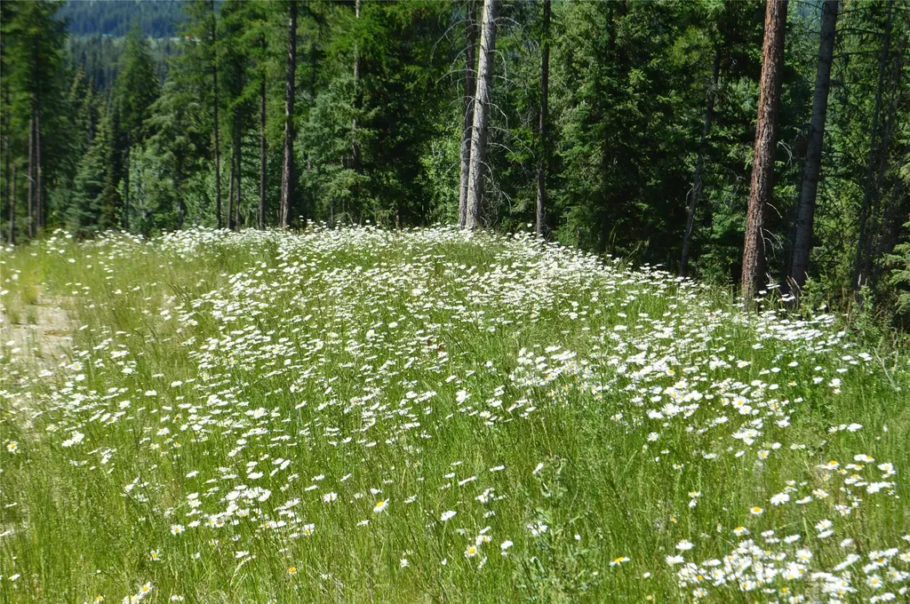 Nhn Logan Creek Road Whitefish MT 59937