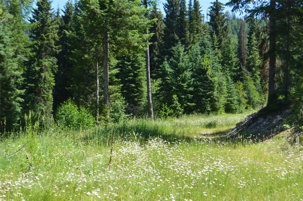 Nhn Logan Creek Road Whitefish MT 59937