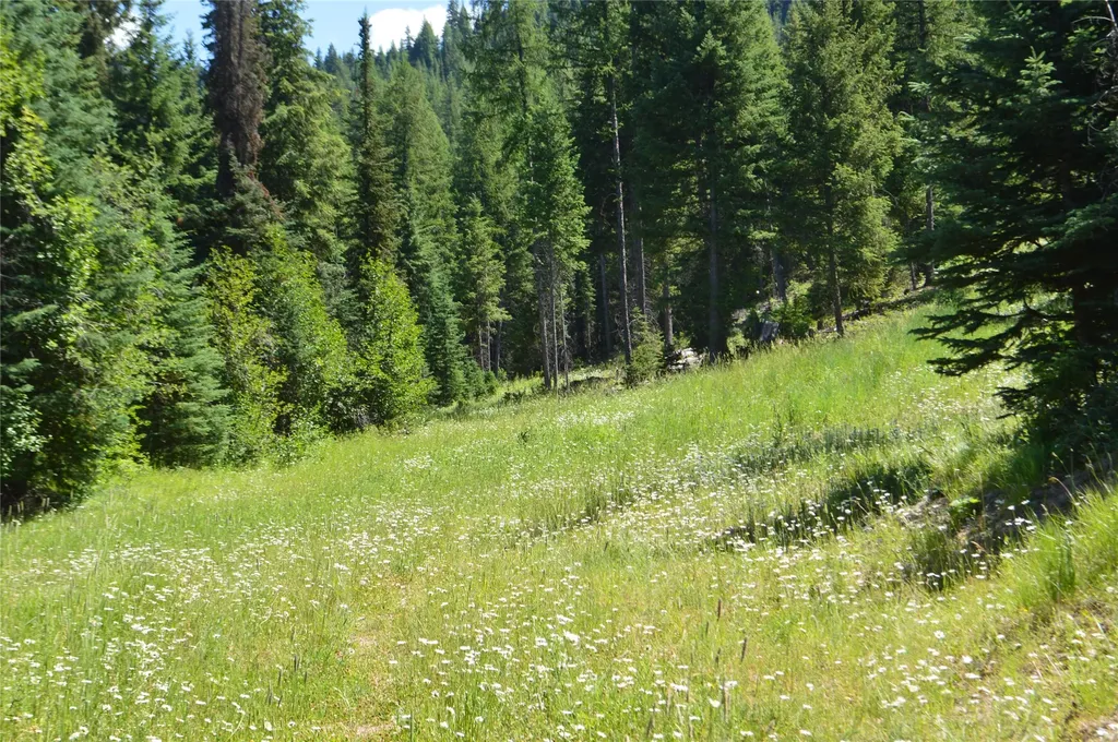Nhn Logan Creek Road Whitefish MT 59937