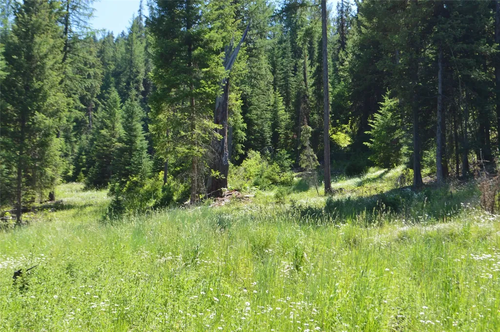 Nhn Logan Creek Road Whitefish MT 59937
