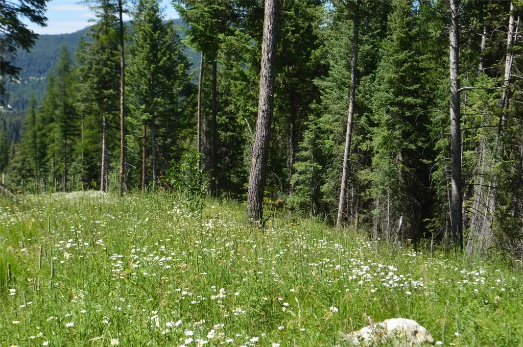 Nhn Logan Creek Road Whitefish MT 59937