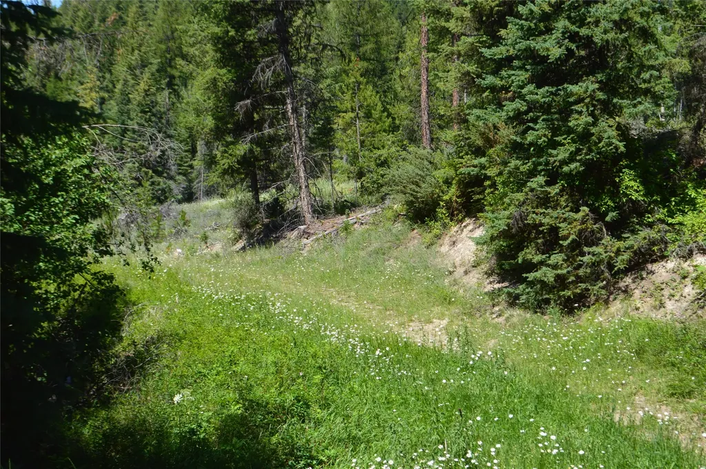 Nhn Logan Creek Road Whitefish MT 59937