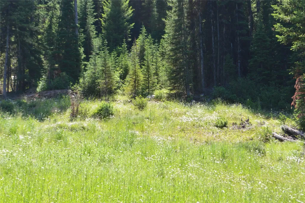 Nhn Logan Creek Road Whitefish MT 59937