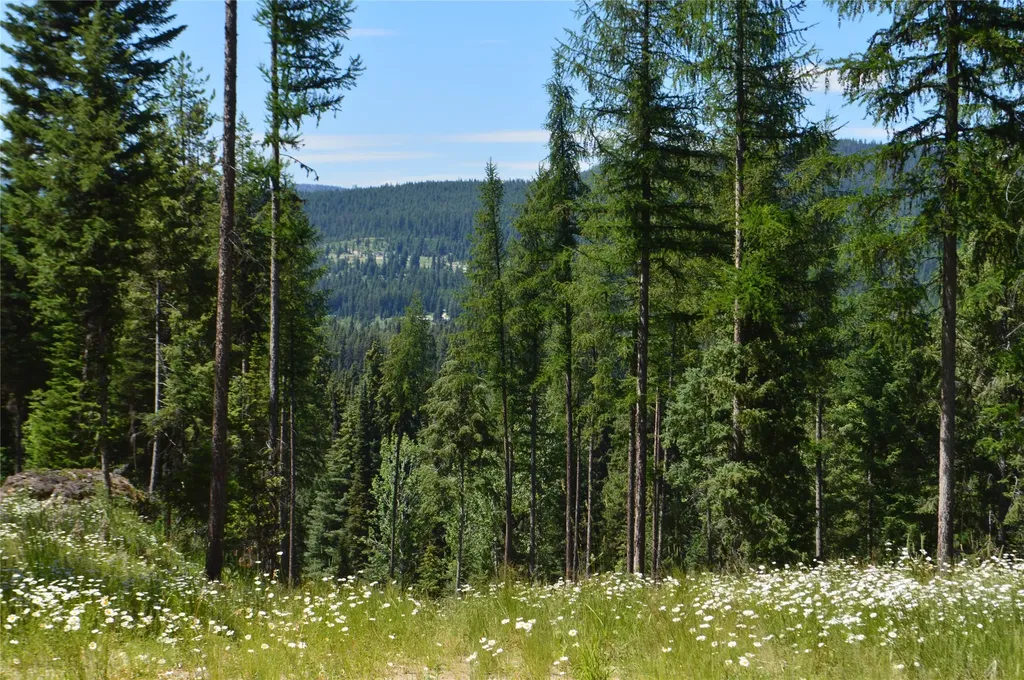 Nhn Logan Creek Road Whitefish MT 59937