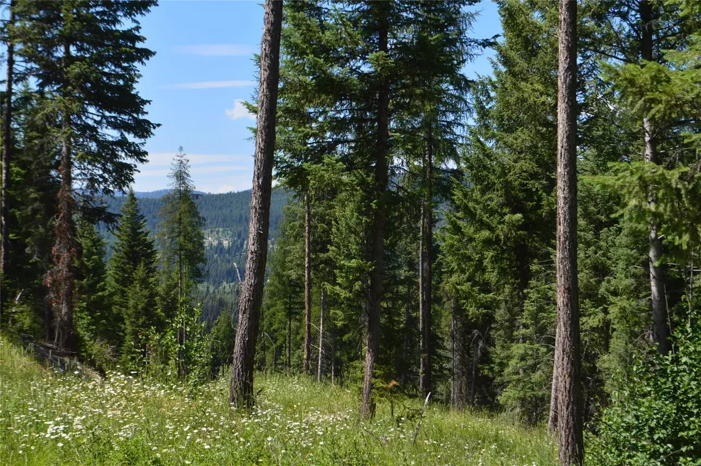 Nhn Logan Creek Road Whitefish MT 59937
