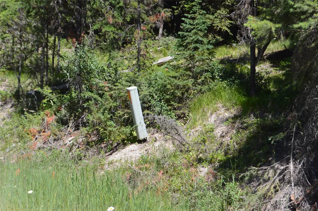Nhn Logan Creek Road Whitefish MT 59937